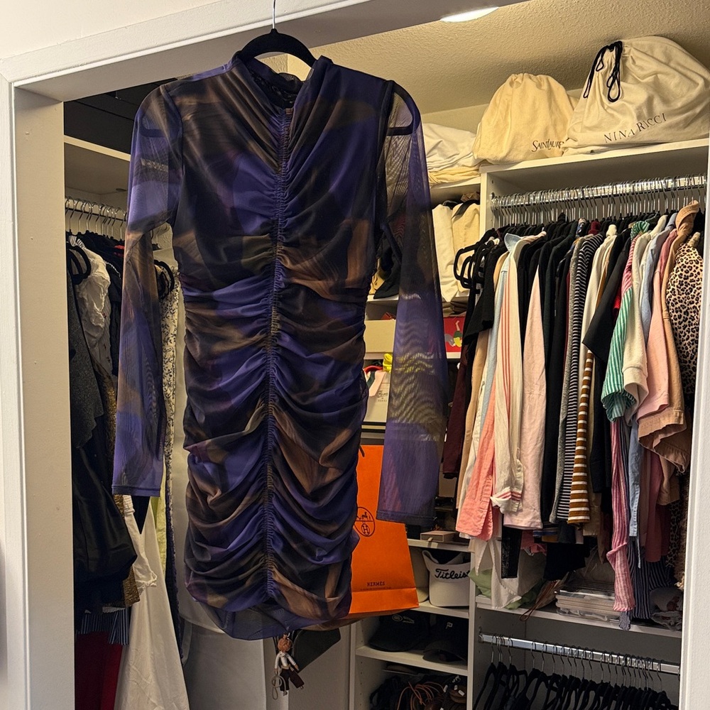 Zara Purple and Brown Ruched Mesh Long Sleeve mini Dress